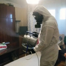 Дезинфекция от клопов в Большом Камне