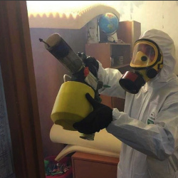 Уничтожение клопов в квартире. Большой Камень